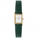 Orologio Daniel Wellington Bound Mini Green Lizard Gold
